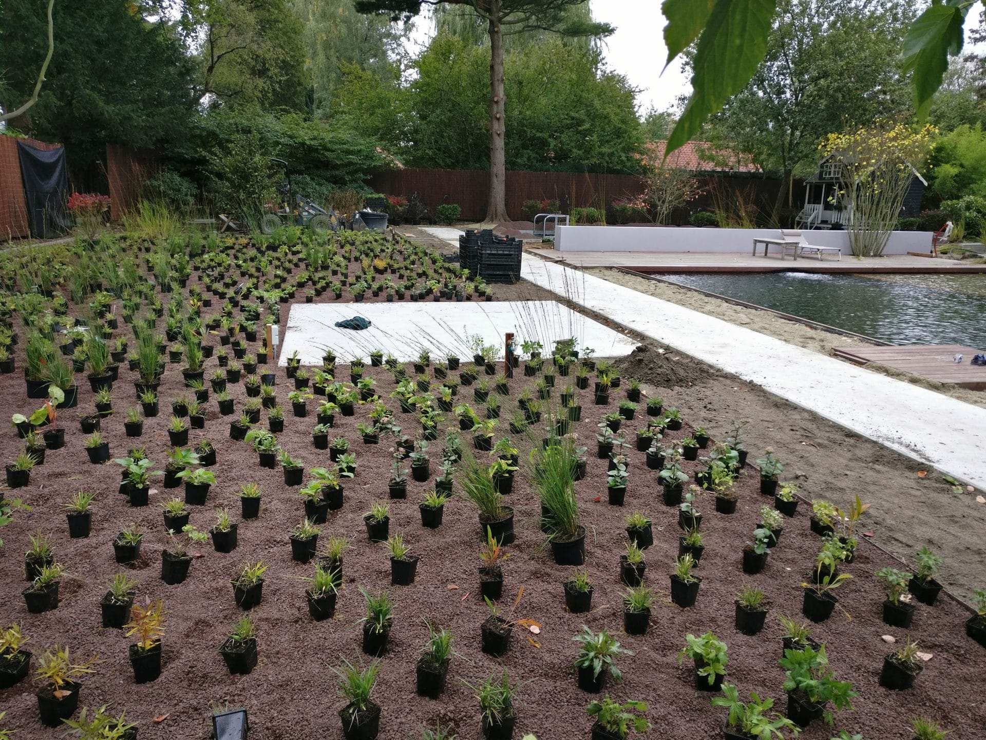 aanplant vaste planten Utrecht Jeroen Hamers